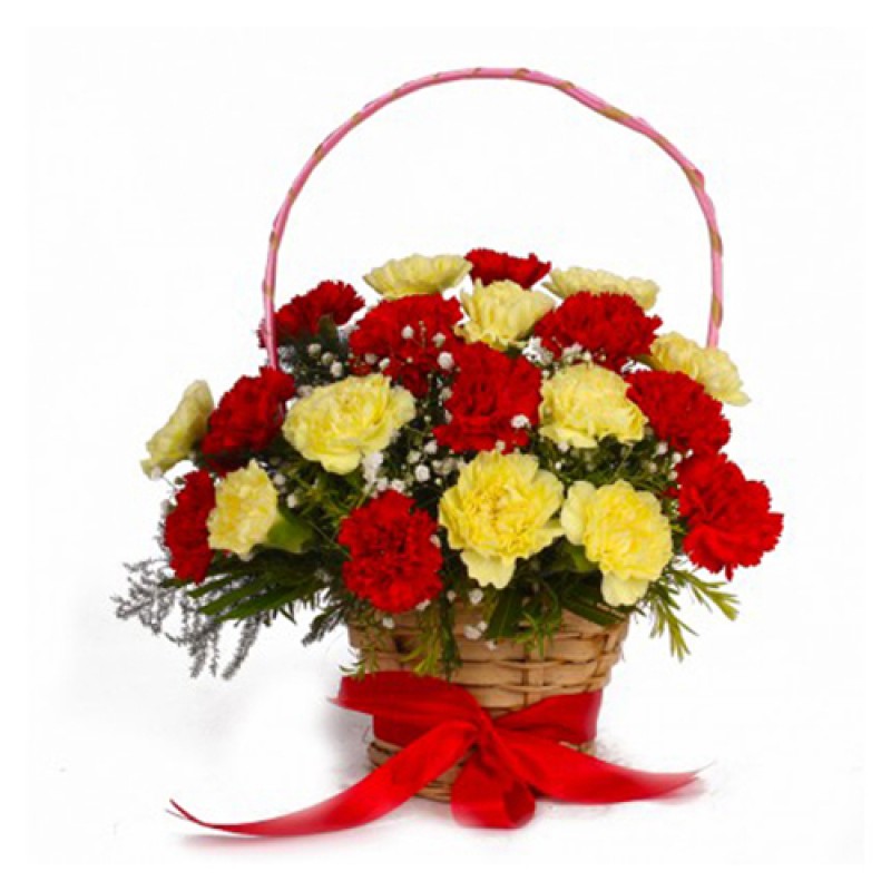 Basket of mixed carnations